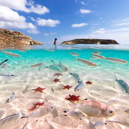 Mareblu Sei